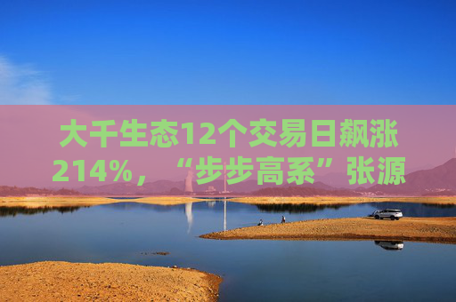 大千生态12个交易日飙涨214%，“步步高系”张源入主背后藏何资本谋划？
