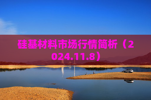 硅基材料市场行情简析（2024.11.8）