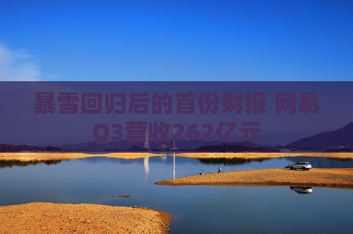 暴雪回归后的首份财报 网易Q3营收262亿元