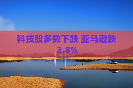 科技股多数下跌 亚马逊跌2.8%