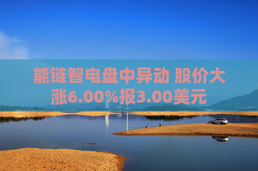 能链智电盘中异动 股价大涨6.00%报3.00美元