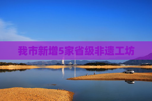 我市新增5家省级非遗工坊