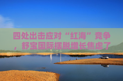 四处出击应对“红海”竞争，舒宝国际摆脱增长焦虑了？