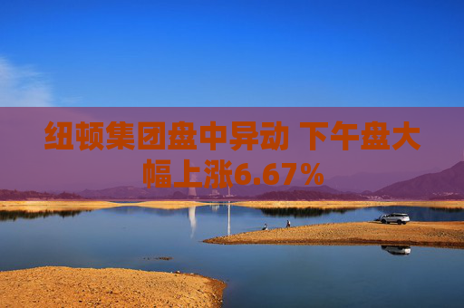 纽顿集团盘中异动 下午盘大幅上涨6.67%