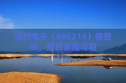 伟时电子（605218）被警示，股民索赔可期