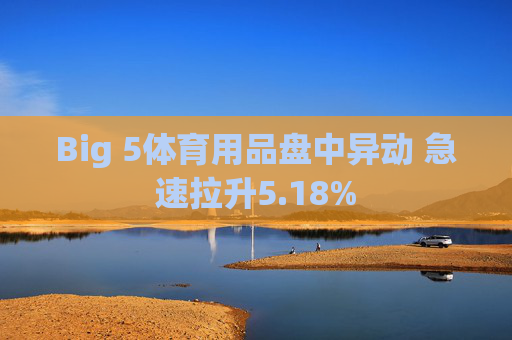 Big 5体育用品盘中异动 急速拉升5.18%