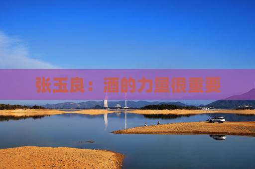 张玉良：酒的力量很重要