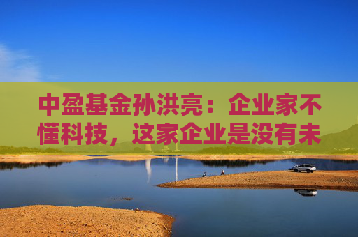 中盈基金孙洪亮：企业家不懂科技，这家企业是没有未来也没有质量的