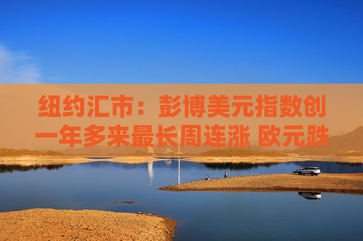 纽约汇市：彭博美元指数创一年多来最长周连涨 欧元跌至两年低点