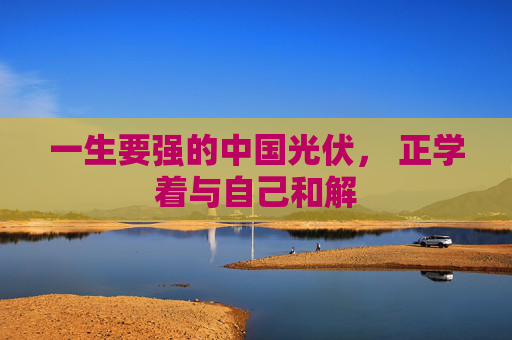一生要强的中国光伏， 正学着与自己和解