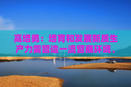 高培勇：培育和发展新质生产力需营造一流营商环境、稳定企业预期