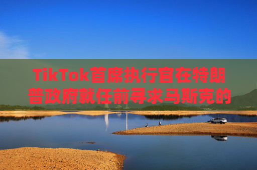 TikTok首席执行官在特朗普政府就任前寻求马斯克的意见