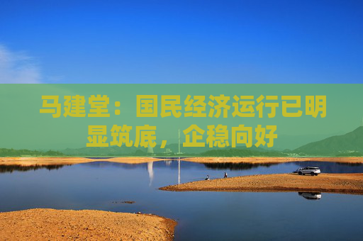 马建堂：国民经济运行已明显筑底，企稳向好