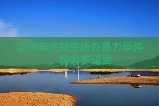 北约年会发生场外暴力事件，特鲁多谴责