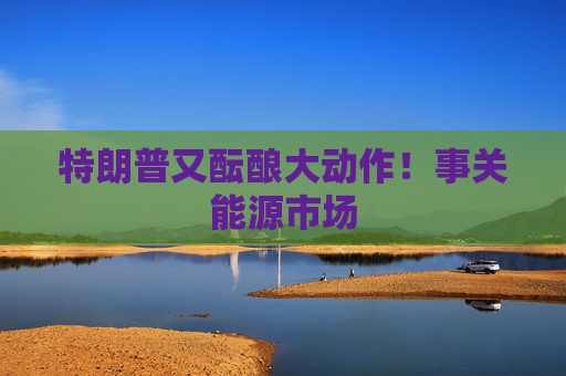 特朗普又酝酿大动作！事关能源市场