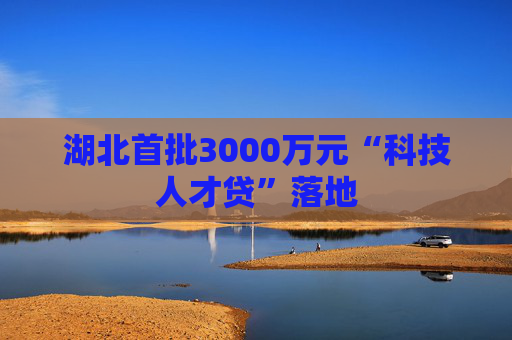 湖北首批3000万元“科技人才贷”落地