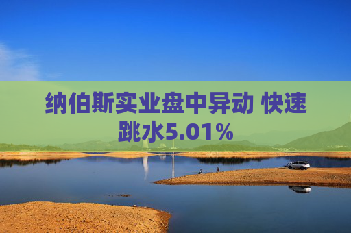 纳伯斯实业盘中异动 快速跳水5.01%
