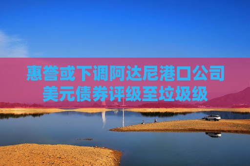 惠誉或下调阿达尼港口公司美元债券评级至垃圾级