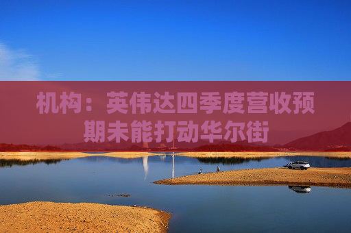 机构：英伟达四季度营收预期未能打动华尔街
