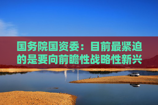 国务院国资委：目前最紧迫的是要向前瞻性战略性新兴产业集中