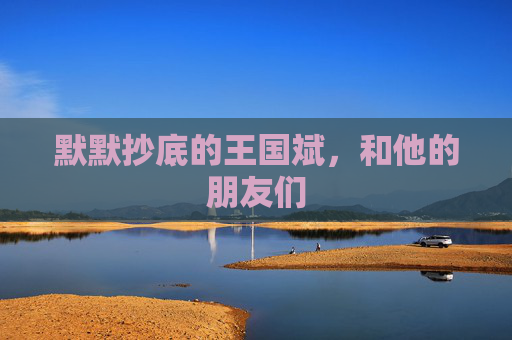 默默抄底的王国斌，和他的朋友们