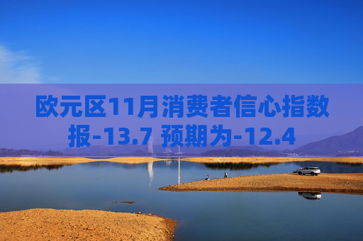 欧元区11月消费者信心指数报-13.7 预期为-12.4