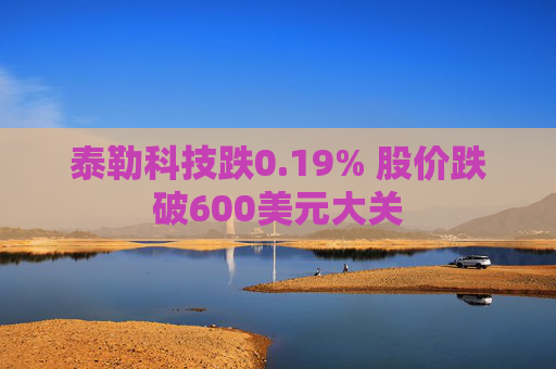 泰勒科技跌0.19% 股价跌破600美元大关