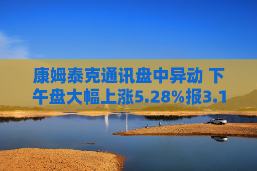 康姆泰克通讯盘中异动 下午盘大幅上涨5.28%报3.19美元