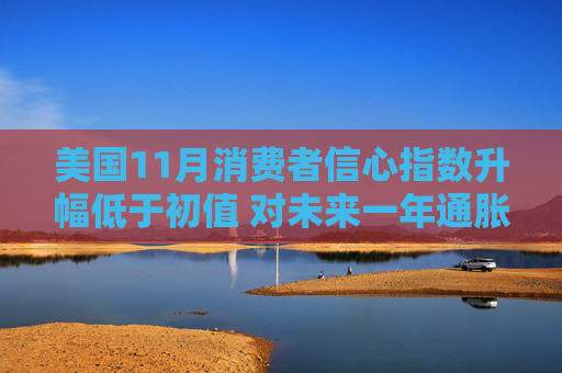 美国11月消费者信心指数升幅低于初值 对未来一年通胀预期下降