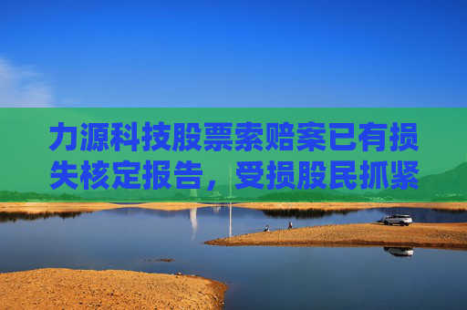 力源科技股票索赔案已有损失核定报告，受损股民抓紧诉讼