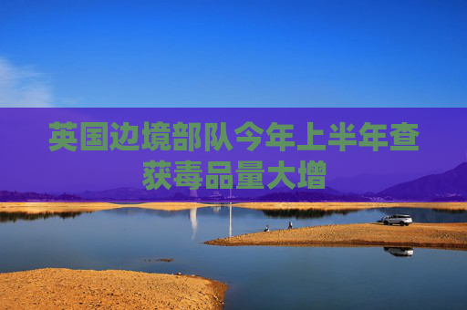 英国边境部队今年上半年查获毒品量大增
