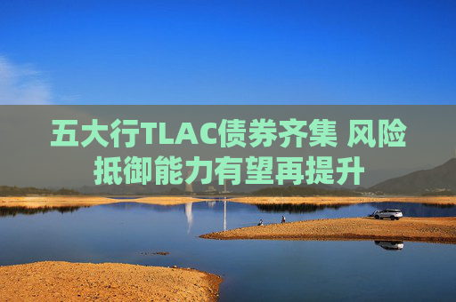 五大行TLAC债券齐集 风险抵御能力有望再提升