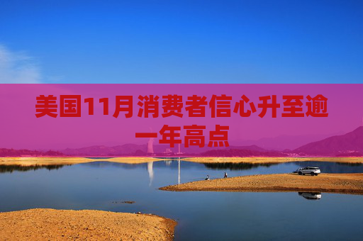 美国11月消费者信心升至逾一年高点