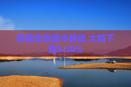 微美全息盘中异动 大幅下挫5.30%