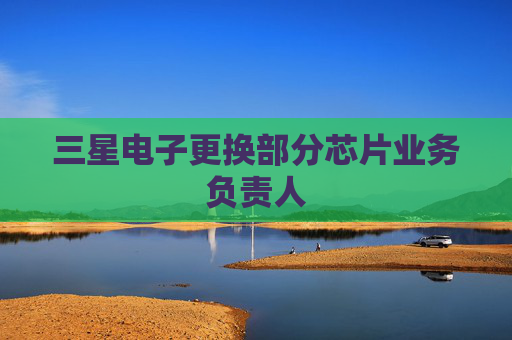 三星电子更换部分芯片业务负责人