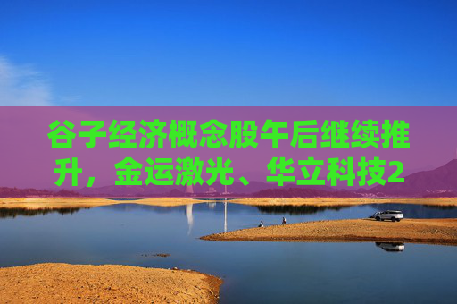 谷子经济概念股午后继续推升，金运激光、华立科技20CM涨停