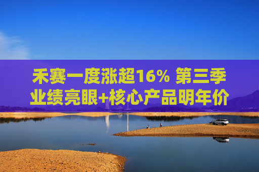 禾赛一度涨超16% 第三季业绩亮眼+核心产品明年价格将减半
