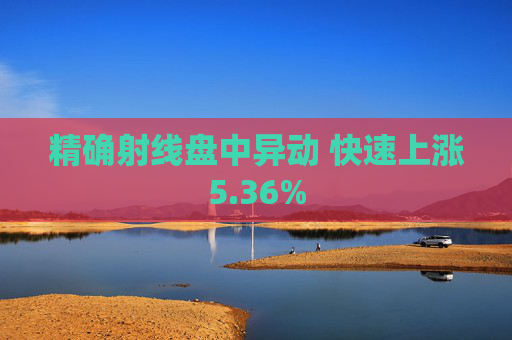精确射线盘中异动 快速上涨5.36%