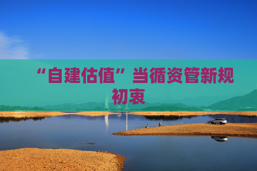 “自建估值”当循资管新规初衷
