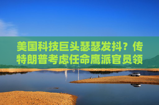 美国科技巨头瑟瑟发抖？传特朗普考虑任命鹰派官员领导反垄断部门