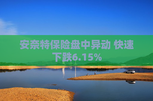 安奈特保险盘中异动 快速下跌6.15%