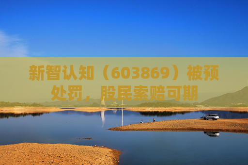 新智认知（603869）被预处罚，股民索赔可期
