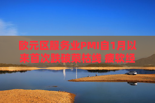 欧元区服务业PMI自1月以来首次跌破荣枯线 疲软经济雪上加霜
