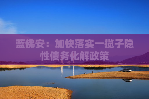 蓝佛安：加快落实一揽子隐性债务化解政策