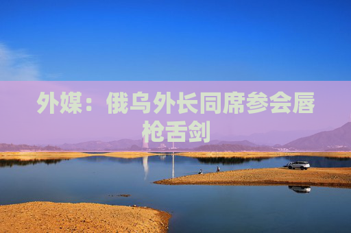 外媒：俄乌外长同席参会唇枪舌剑