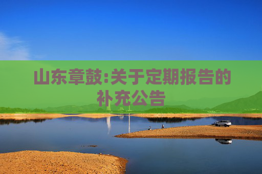 山东章鼓:关于定期报告的补充公告