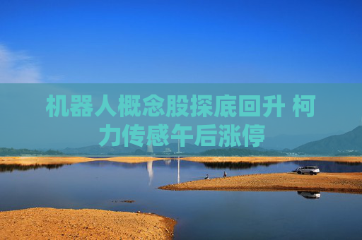 机器人概念股探底回升 柯力传感午后涨停