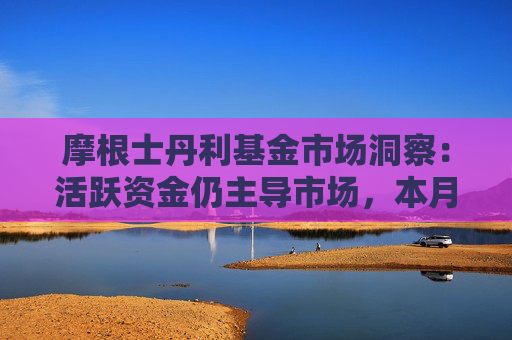 摩根士丹利基金市场洞察：活跃资金仍主导市场，本月重要会议值得期待