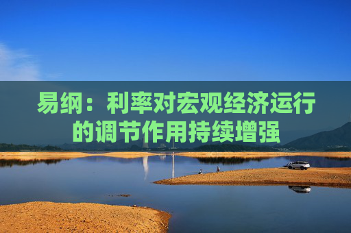 易纲：利率对宏观经济运行的调节作用持续增强