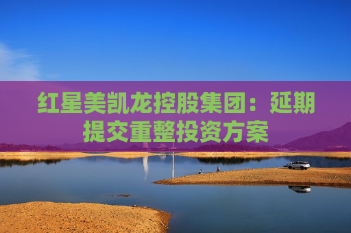 红星美凯龙控股集团：延期提交重整投资方案